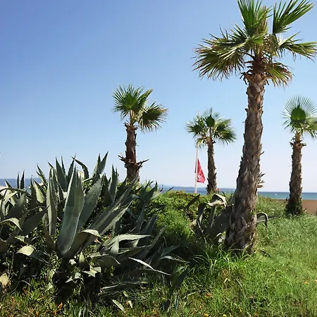 Hotel Belambra Clubs Presqu'ile De Giens - Riviera Club Hyères