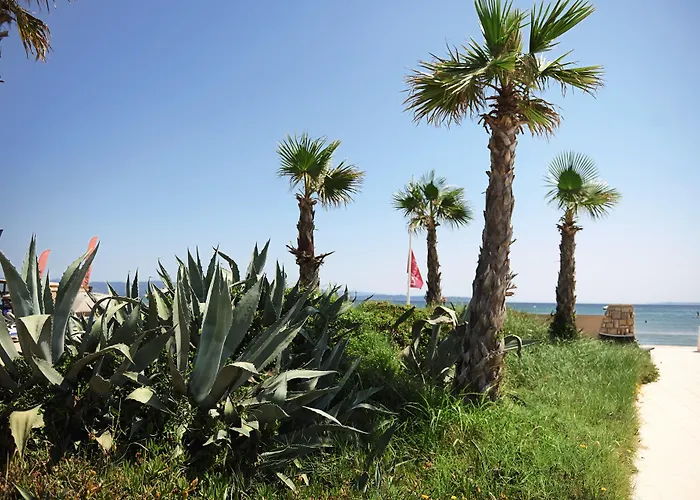 Hotel Belambra Clubs Presqu'ile De Giens - Riviera Club Hyères